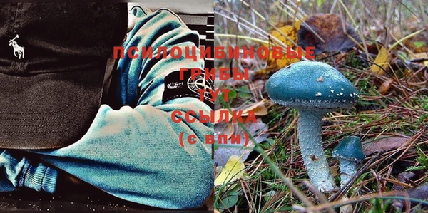 MDMA Premium VHQ Арсеньев