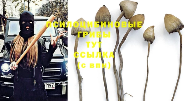 ALPHA PVP Армянск
