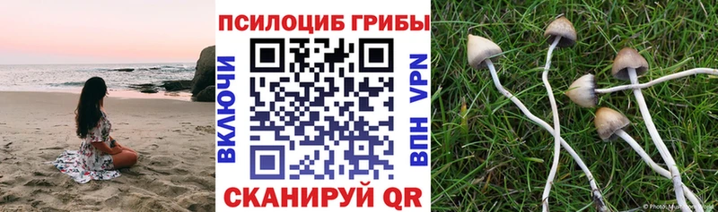 Галлюциногенные грибы GOLDEN TEACHER Ишимбай